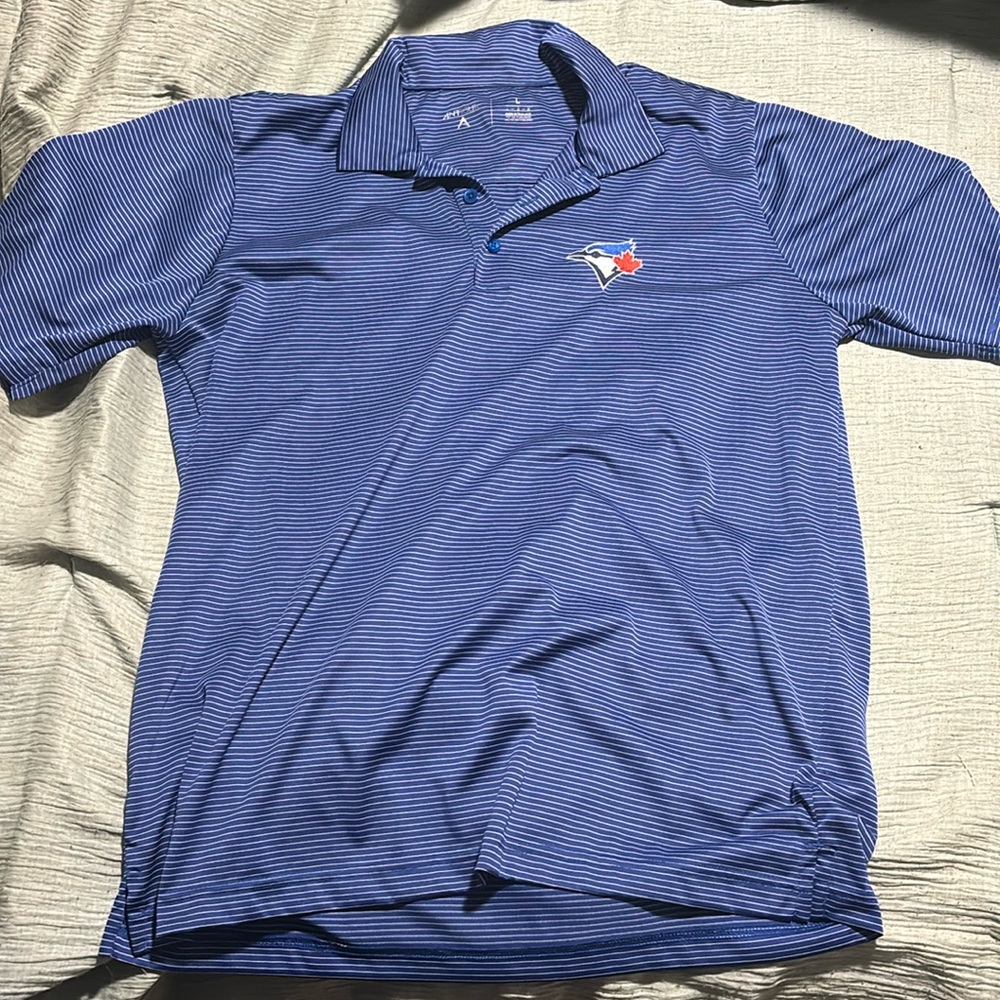 Collared Blue Jays shirt.
Size L
Colour: Blue and white stripes